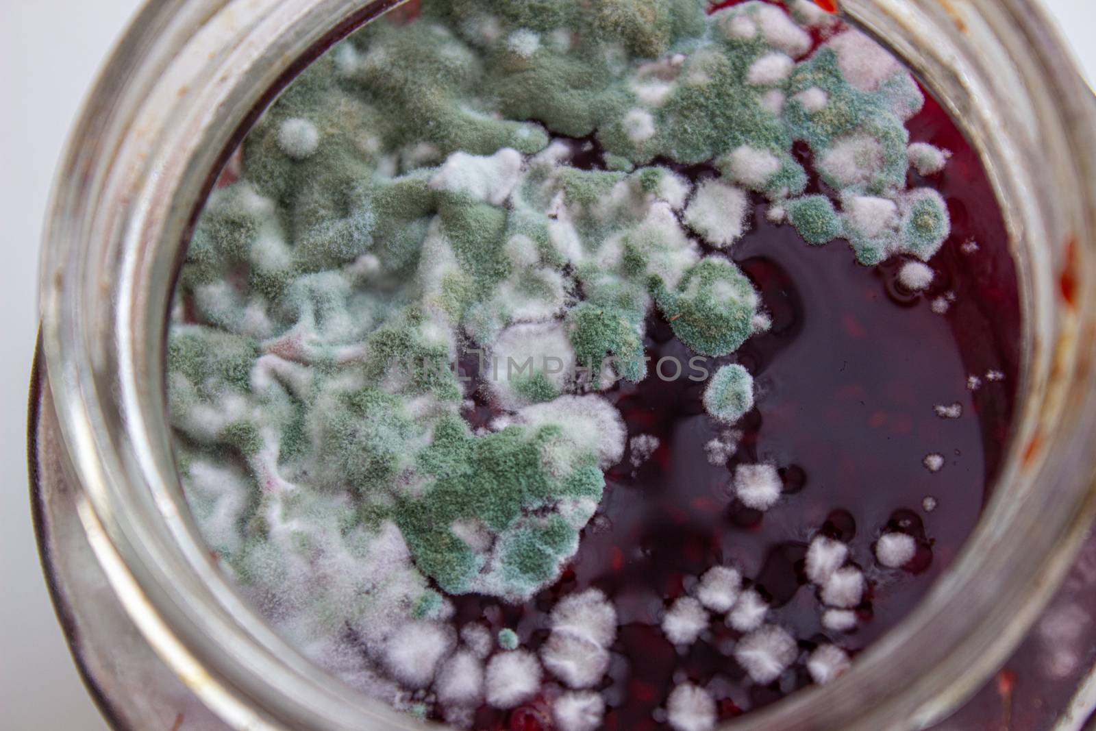 Mold in a jar of jam. Hazardous to health. Mold