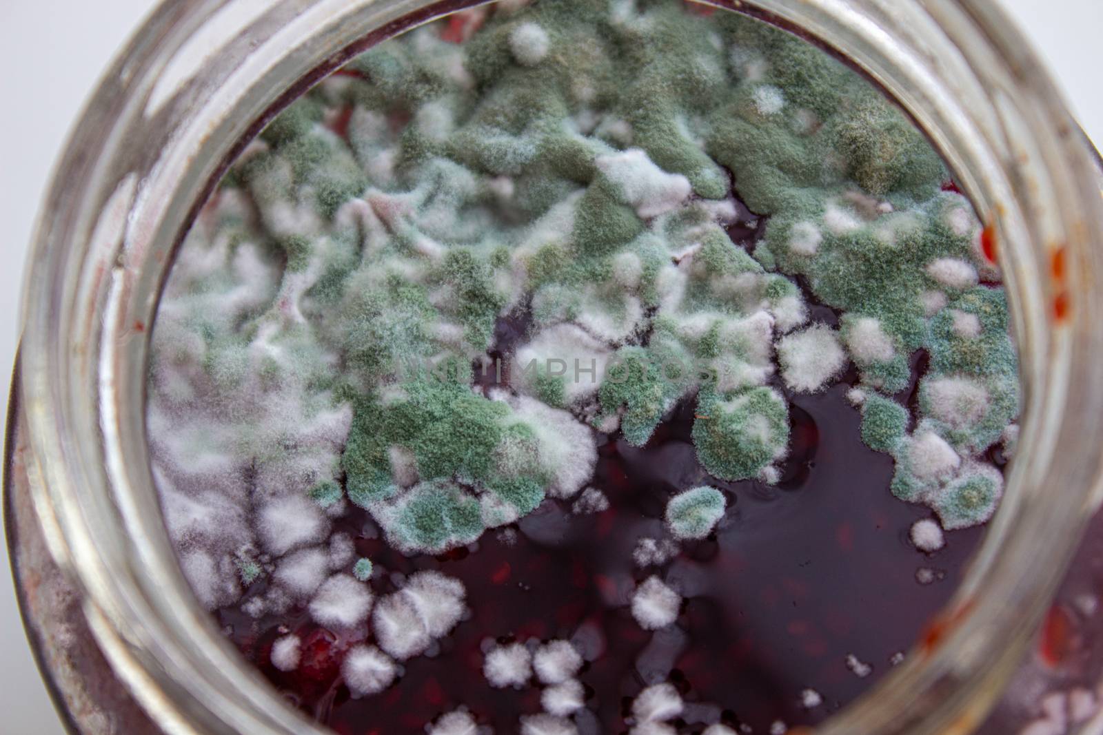 Mold in a jar of jam. Hazardous to health. Mold