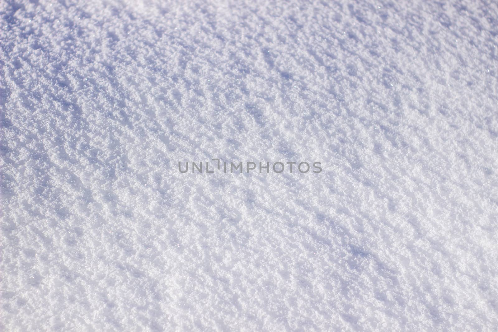 texture of white snow sparkling in the sun.