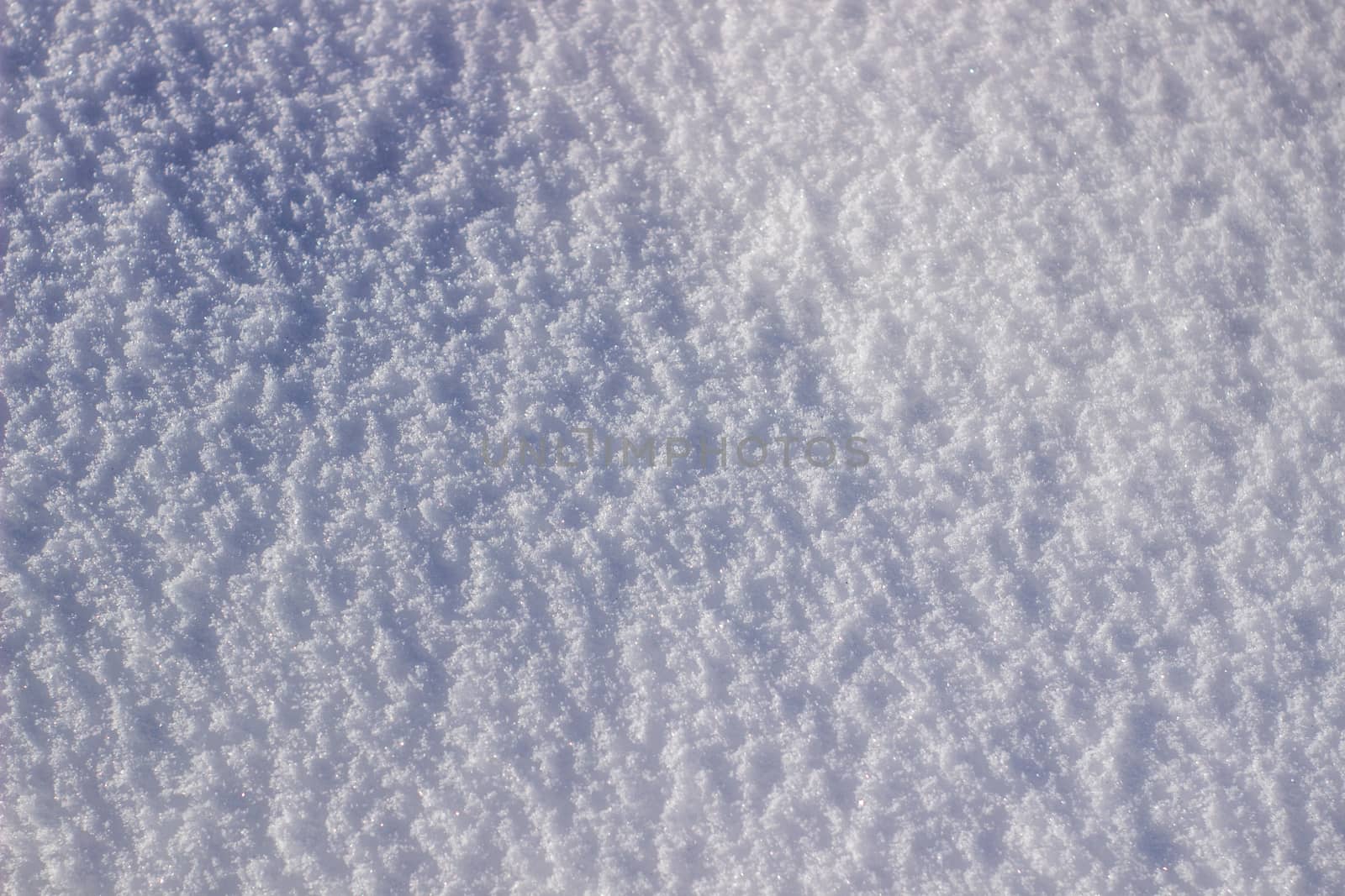 texture of white snow sparkling in the sun.