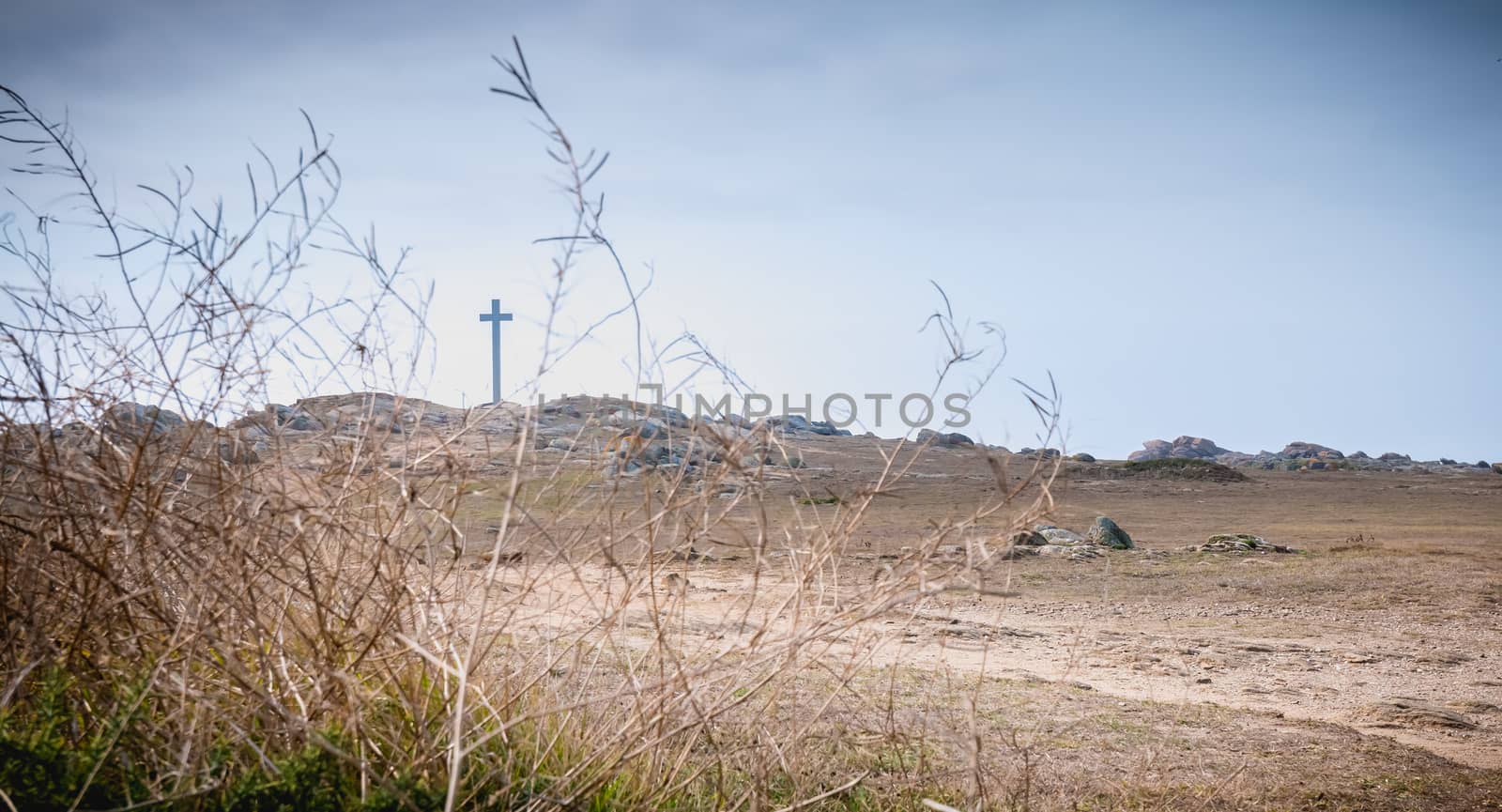 view of the wild vegetation of the cross of the tip of Chatelet on the island of Yeu, France in summer