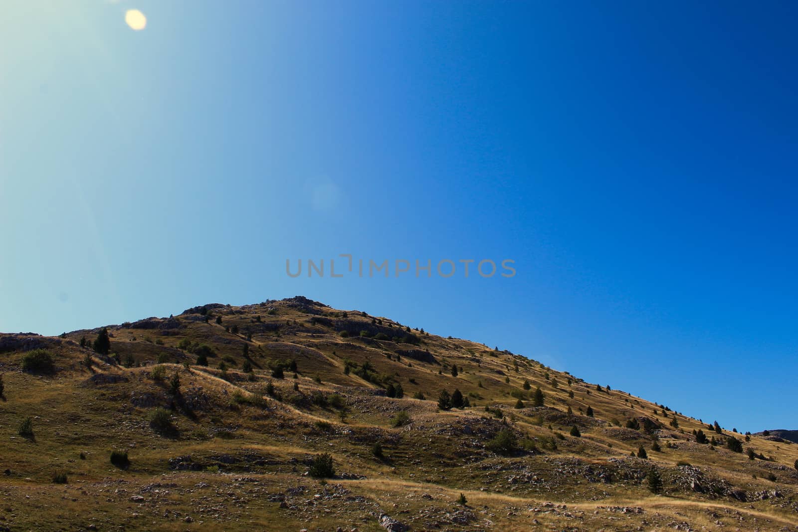 A rocky hill on the mountain Bjelasnica with planted conifers with the sky in the background. Hill on Bjelasnica mountain, Bosnia and Herzegovina. by mahirrov