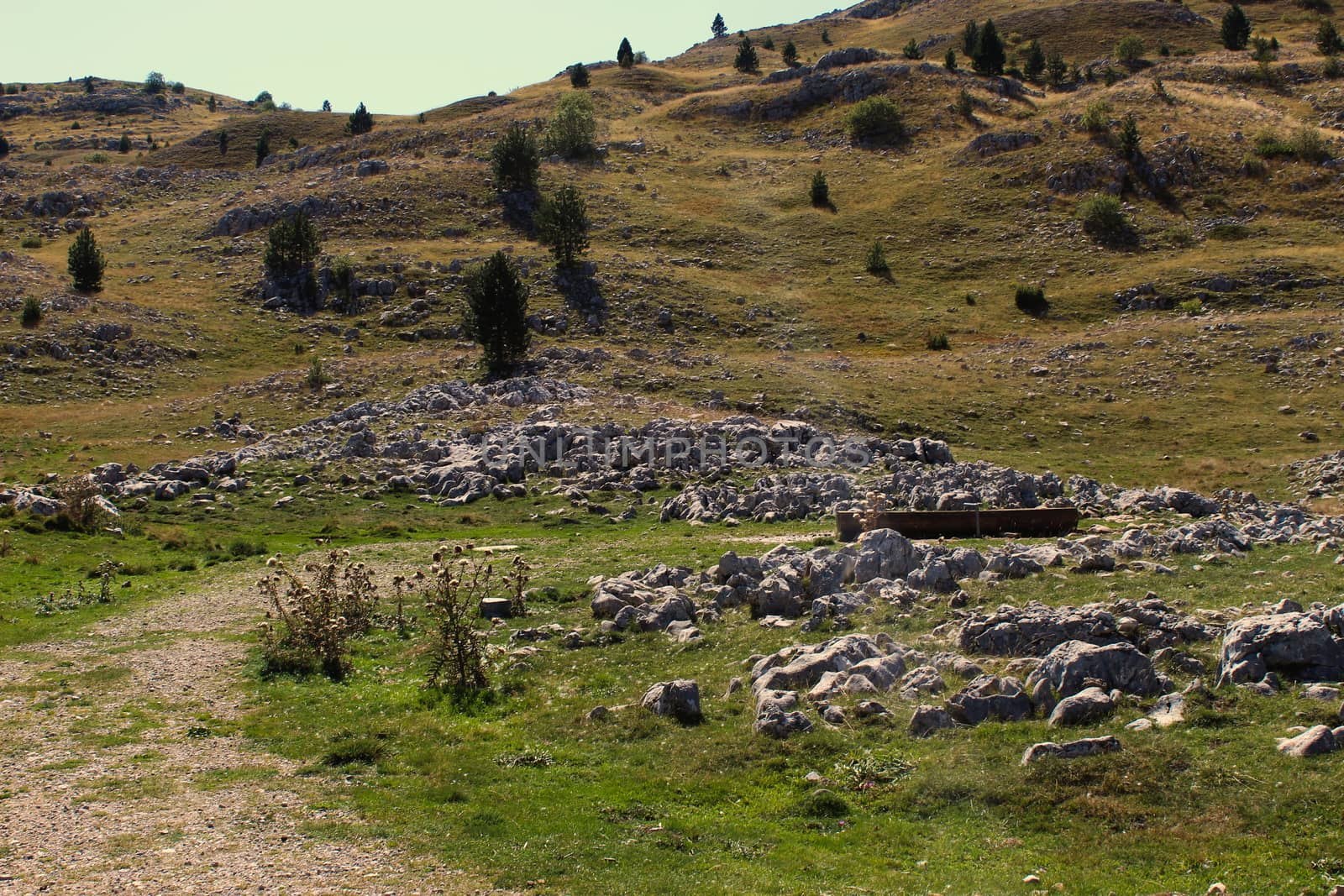 Access to the place where cattle (cows, sheep, goats, wild animals, etc.) drink water. Rocky part of Bjelasnica mountain, Bosnia and Herzegovina.