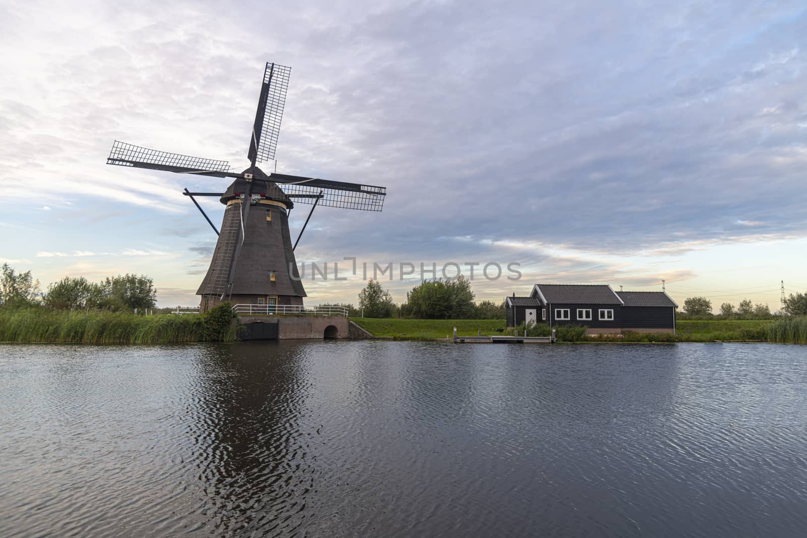 Dutch windmill laying along the canal with wild grass blown by strong winds at the early sunset moment