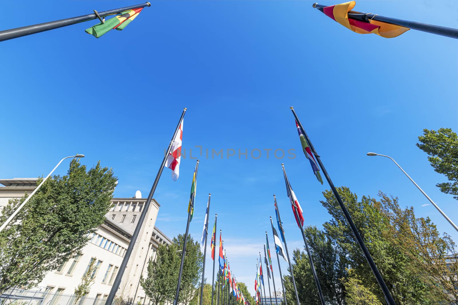 Alignment of flags under a beautiful and sunny blue sky in the International area of The Hague, Netherlands