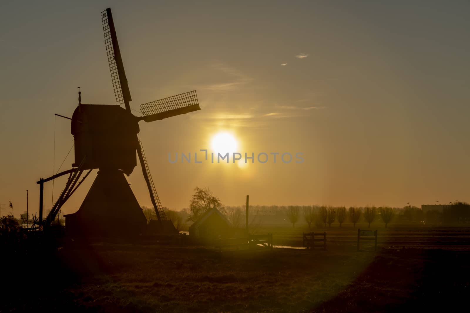 Dutch rural landscape at the early morning sunrise creating silhouettes with the back lit