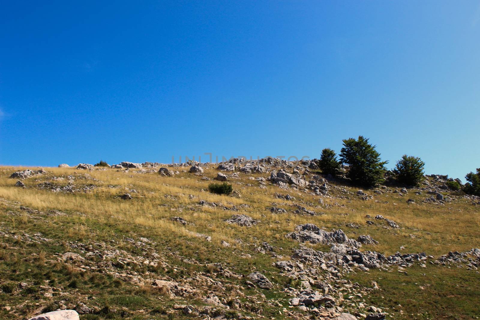 Stones, meadows, grass and sky background. Bjelasnica Mountain, Bosnia and Herzegovina.
