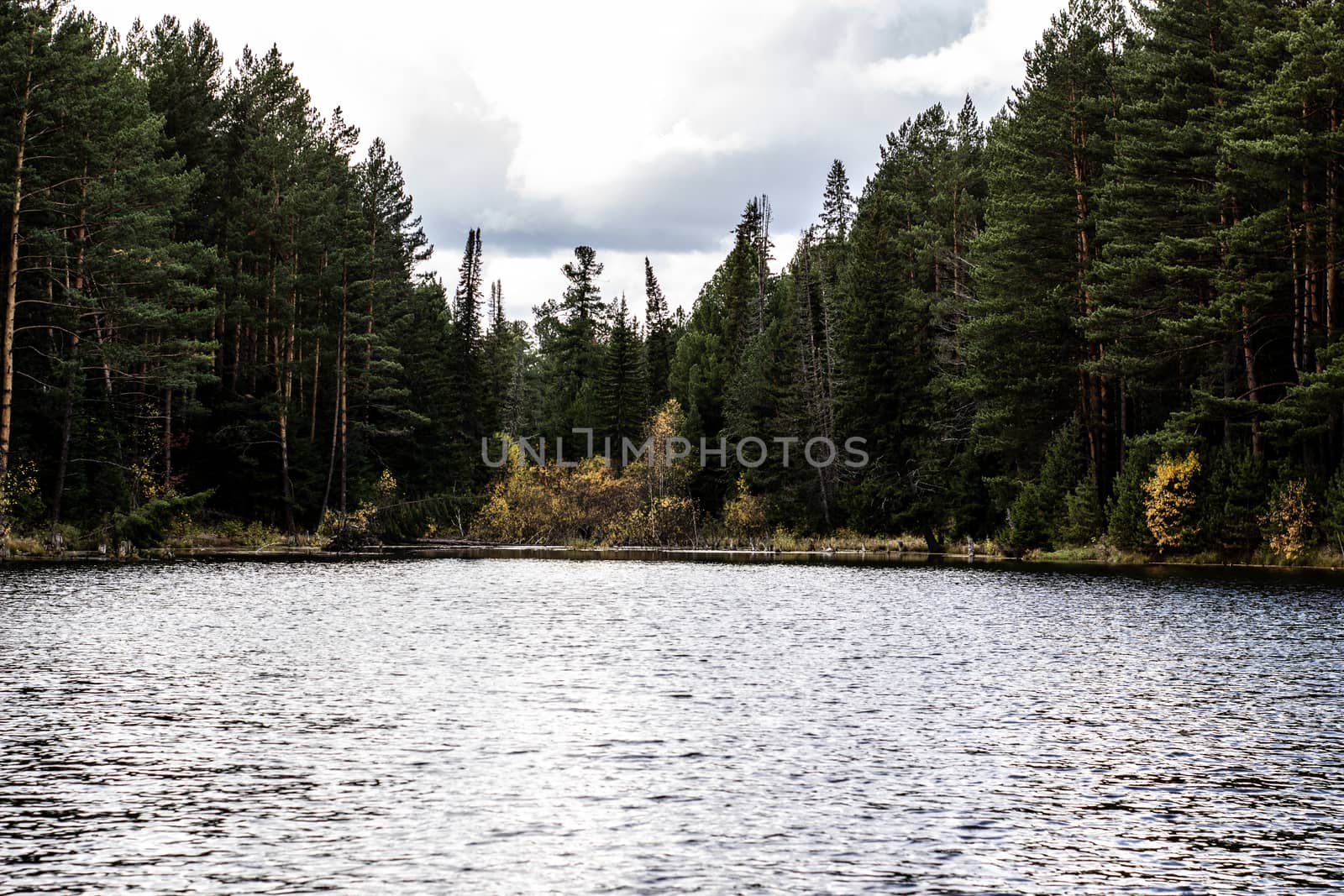 Beautiful panoramic view of big lake in the middle of the forest.