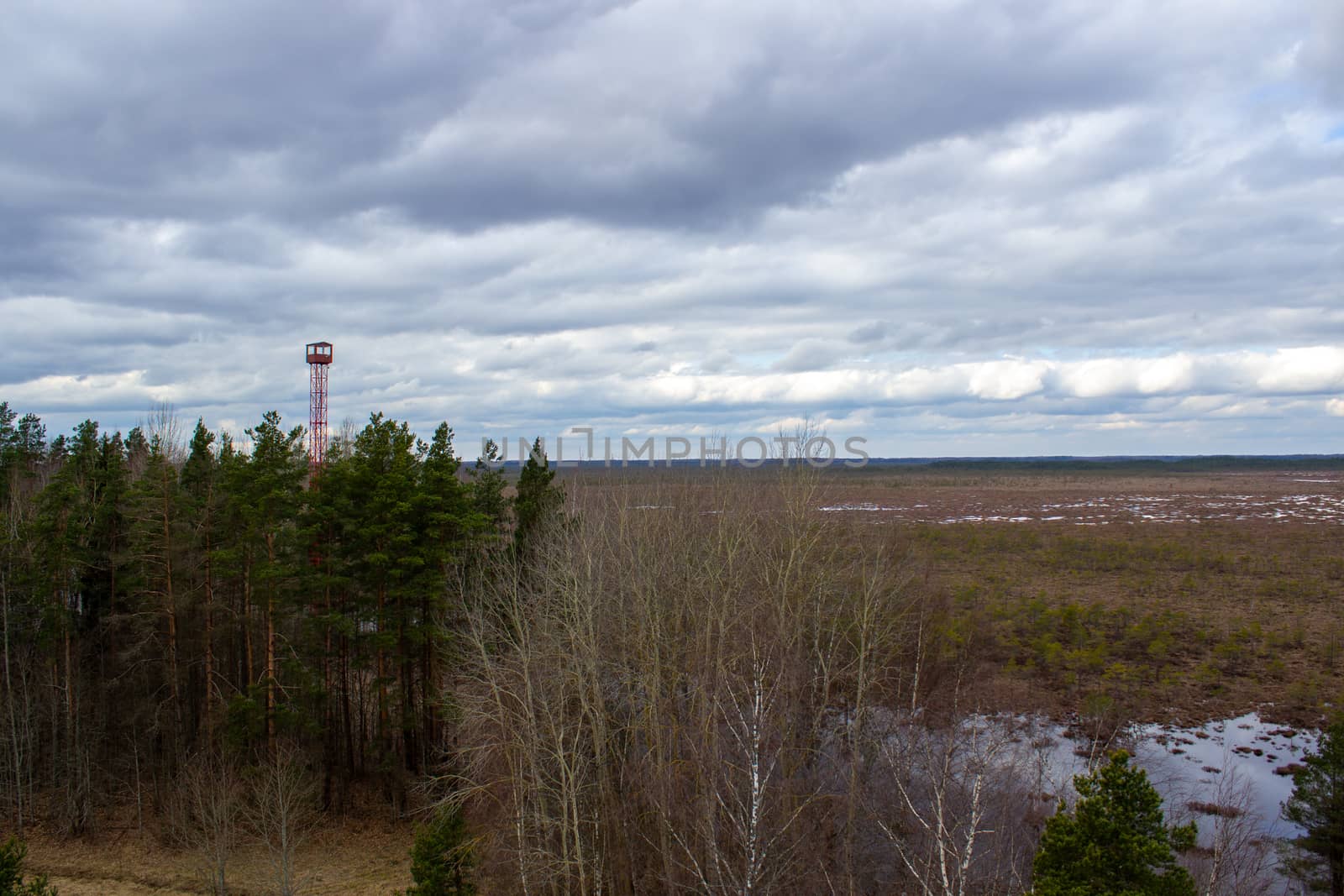 Majestic view tower in swamp in day. Calm and peaceful place for meditation.