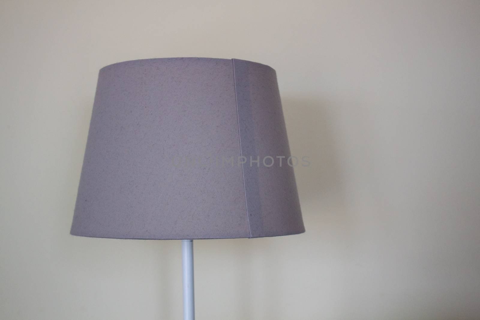 Room standing lamp on a white background.