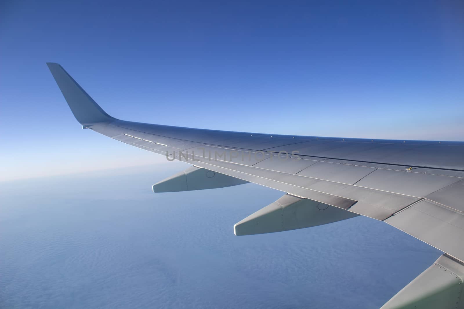 Airplane wing in the sky. View from a great height