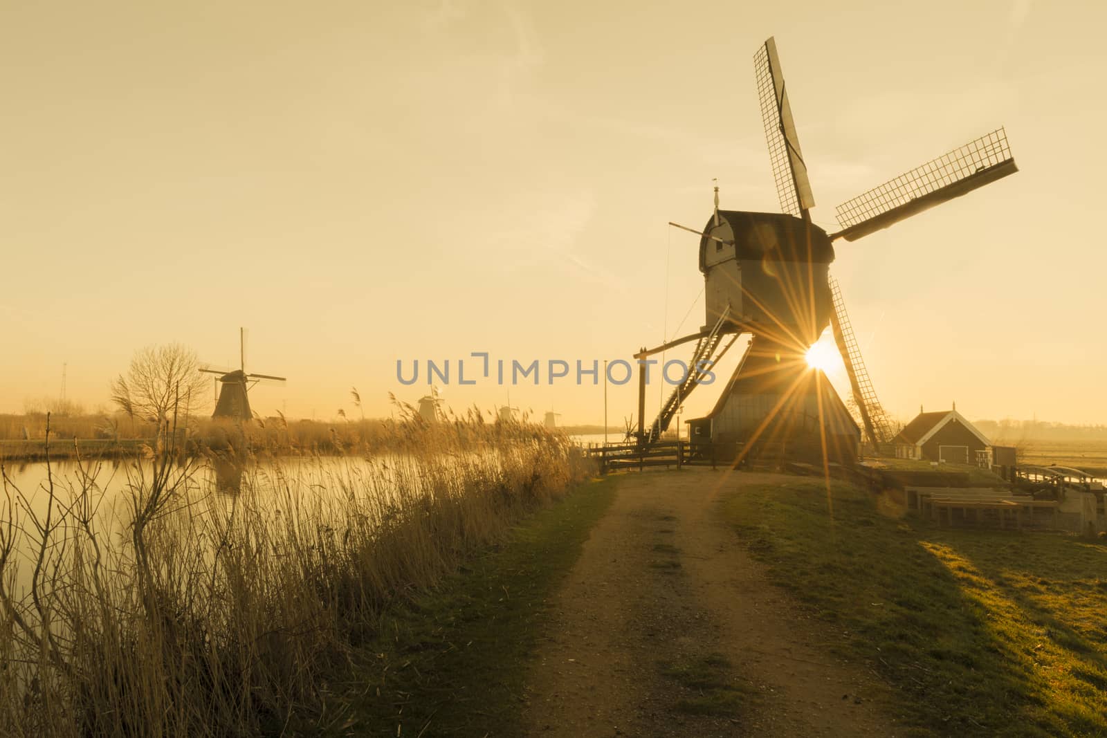 Twight light sunrise on the Unesco heritage windmill silhouette at the middle of the canal, Alblasserdam, Netherlands by ankorlight