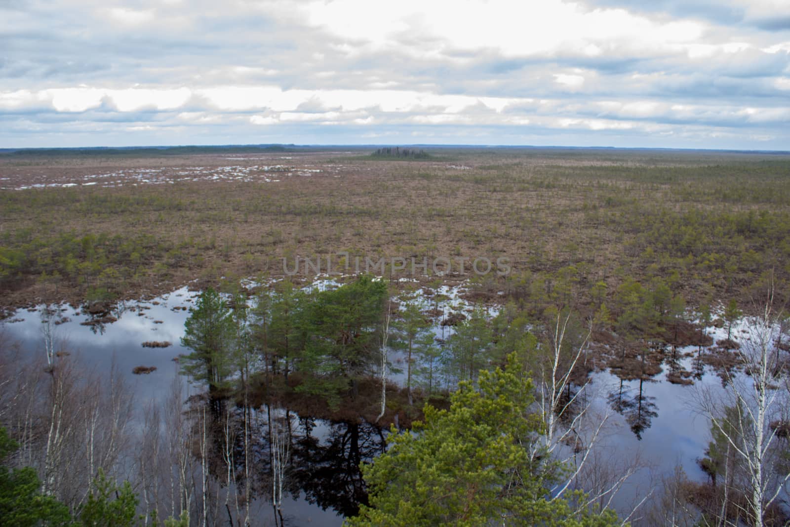Majestic view tower in swamp in day. Calm and peaceful place for meditation.