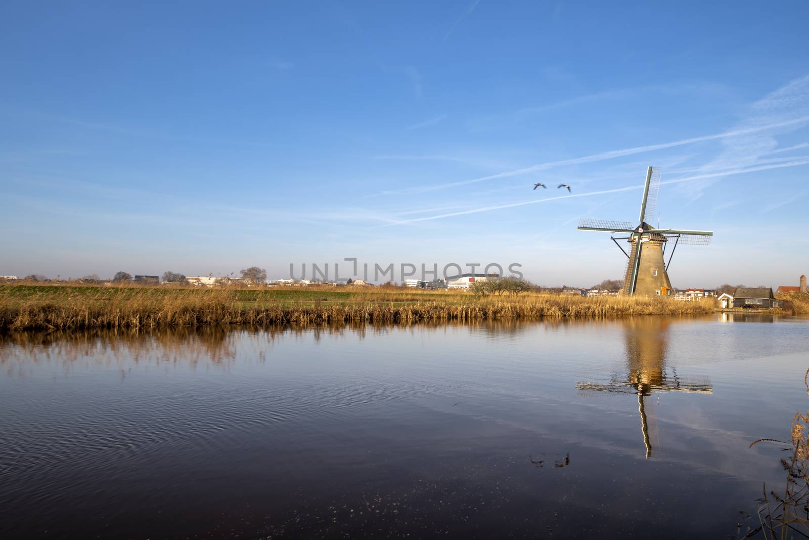 Dutch landscape in the early morning with the windmill reflected on the calm canal at Alblasserdam city near Rotterdam, Netherlands