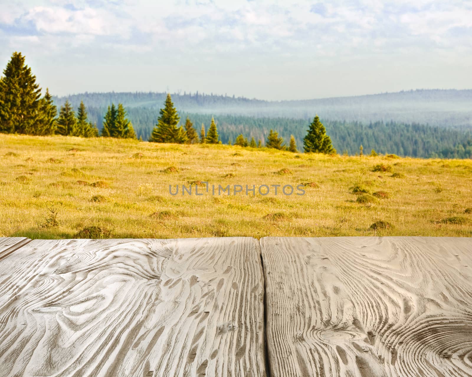 Rustic wooden table against forest landscape. Clipping path for table