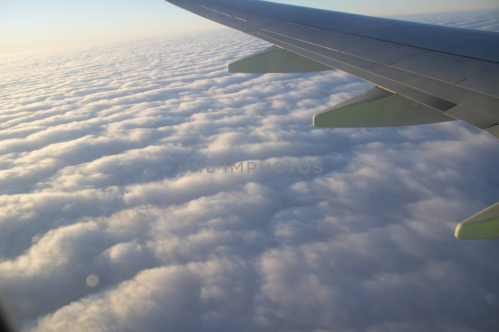Airplane wing in the sky. View from a great height