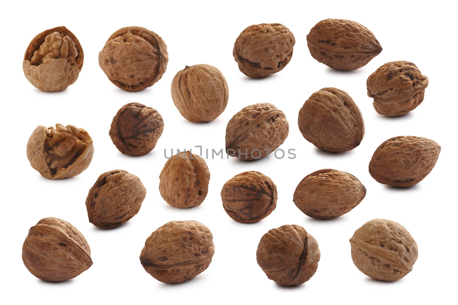 Single shelled whole and cracked  walnuts (edible seeds of tree of Juglans regia). Separate clipping paths for both nuts and shadows, infinite depth of field