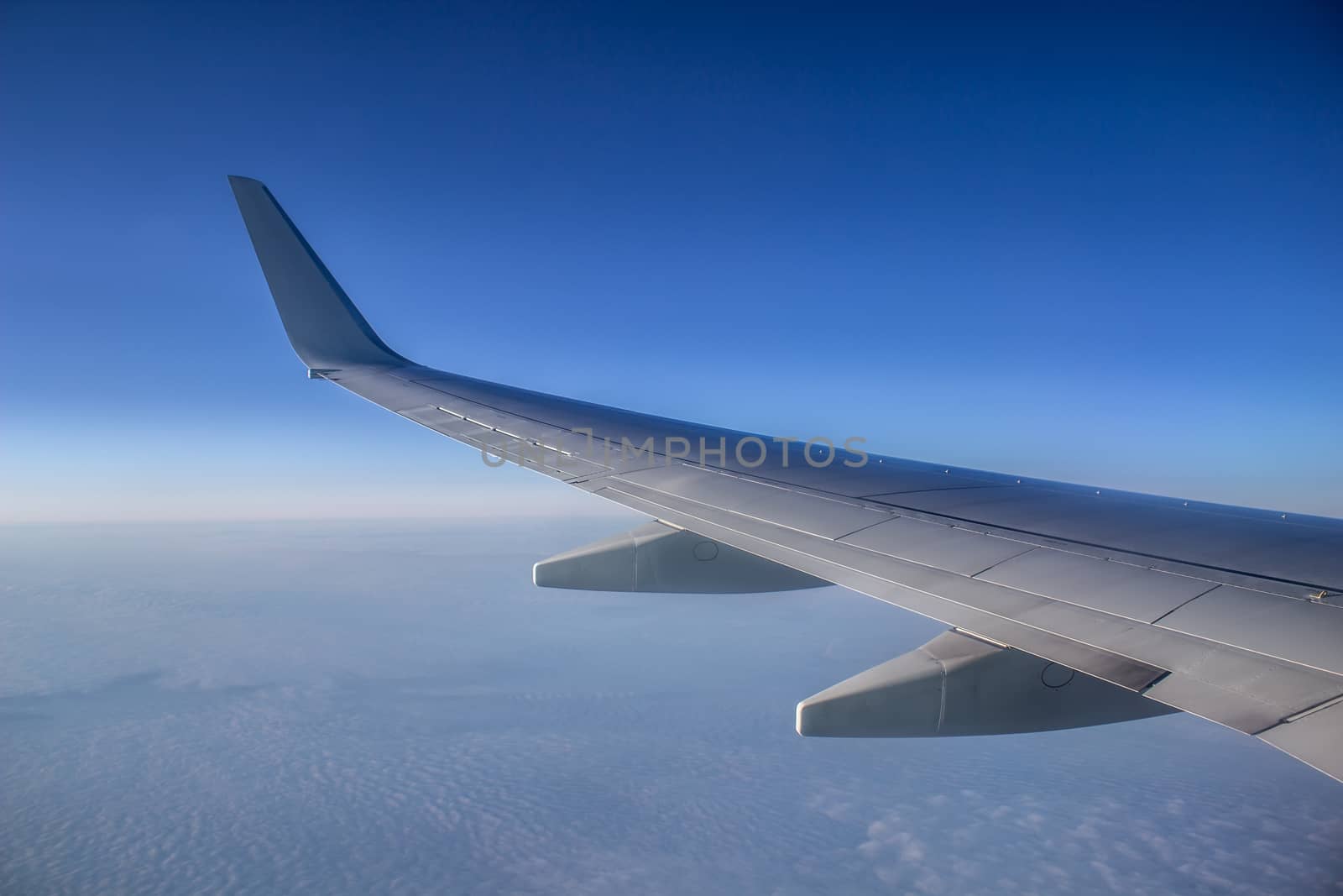 Airplane wing in the sky. View from a great height