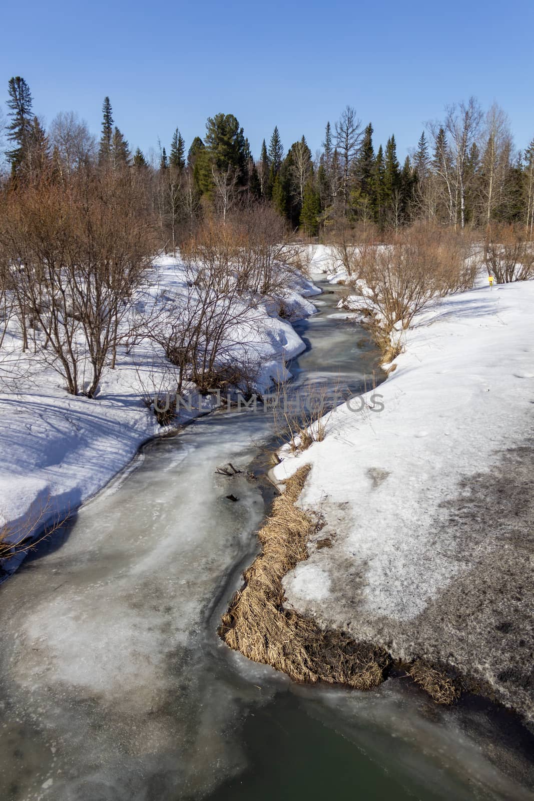 Frozen river in the winter in the forest. Sunny day. Beautiful winter landscape.