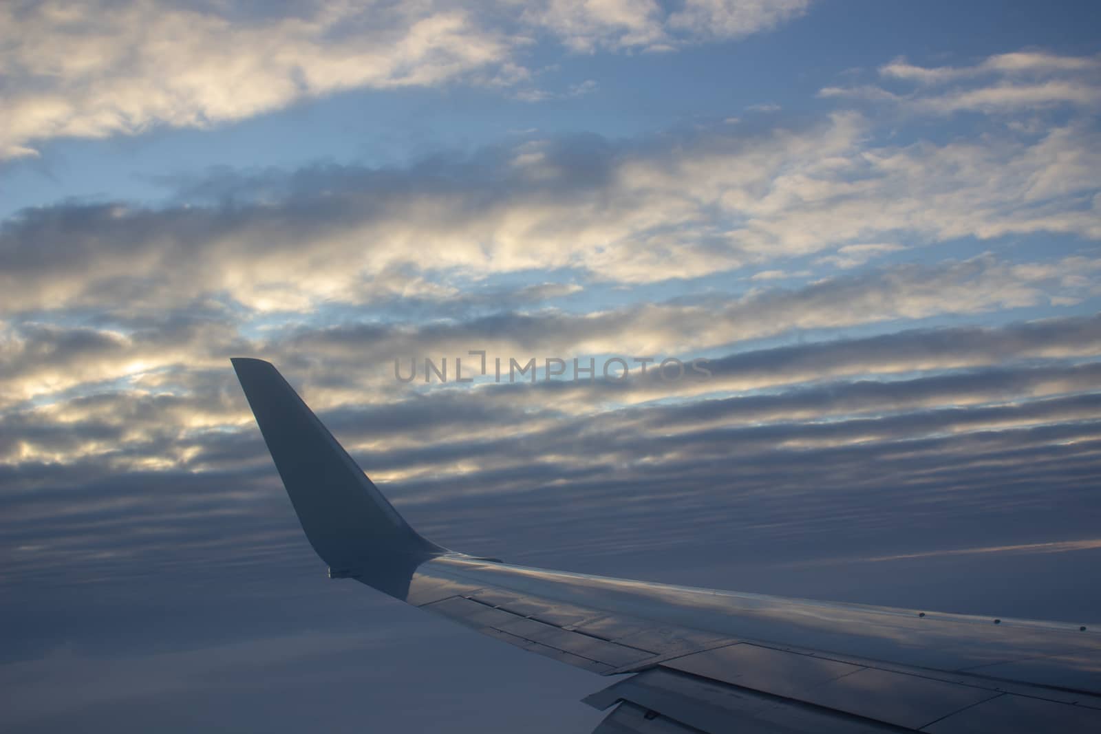 Airplane wing in the sky. View from a great height