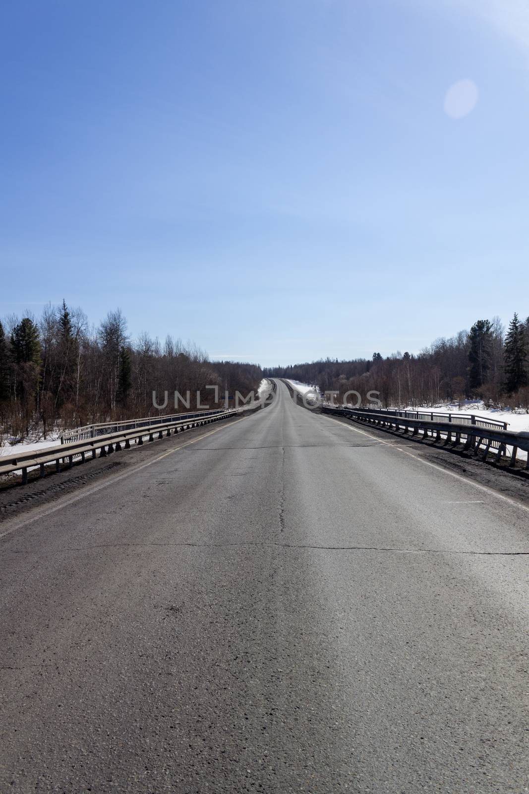 Asphalt road in the forest. A beautiful journey by AnatoliiFoto