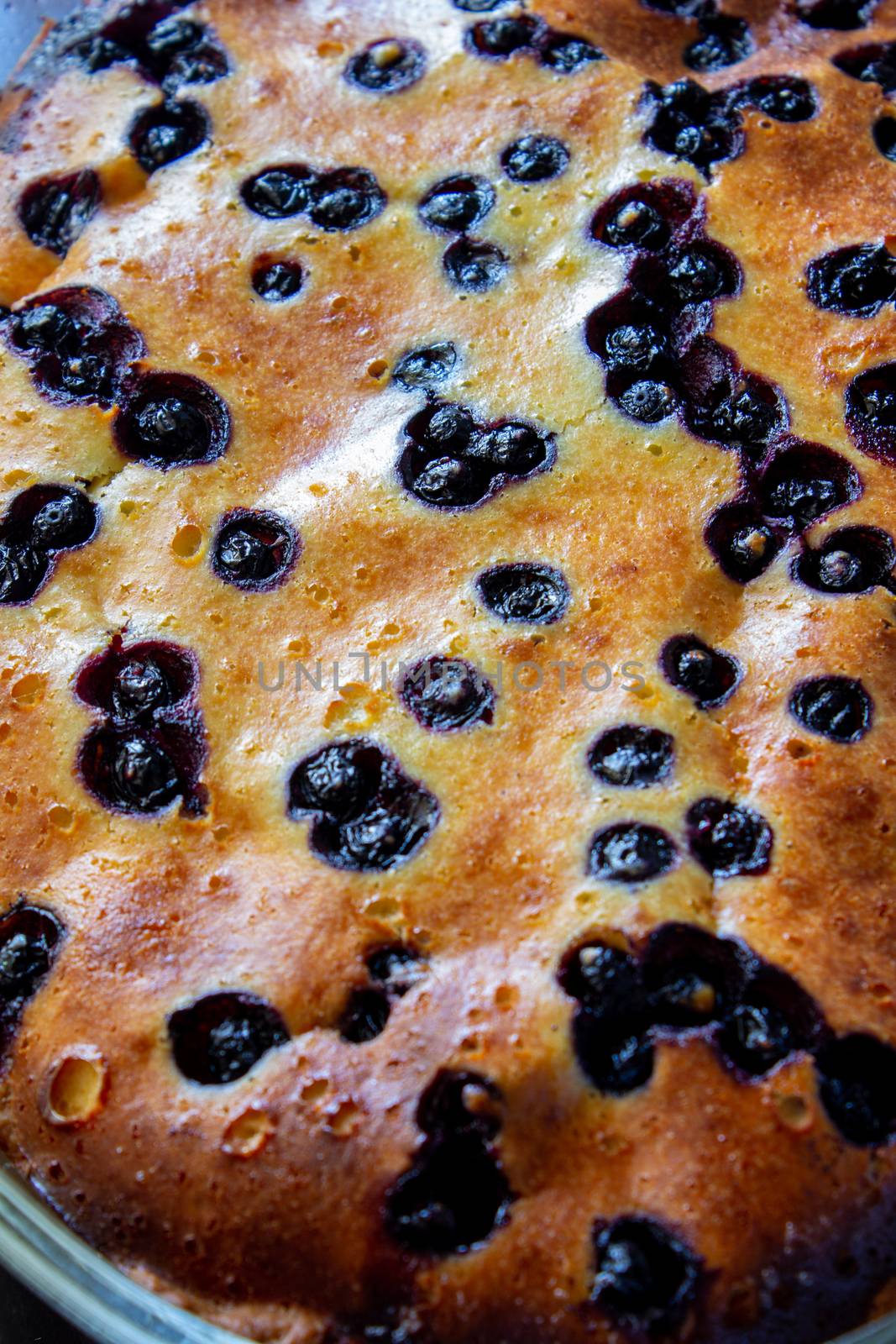 Cottage cheese casserole baked with blueberry. Curd casserole with fresh berries on kitchen table. Top view