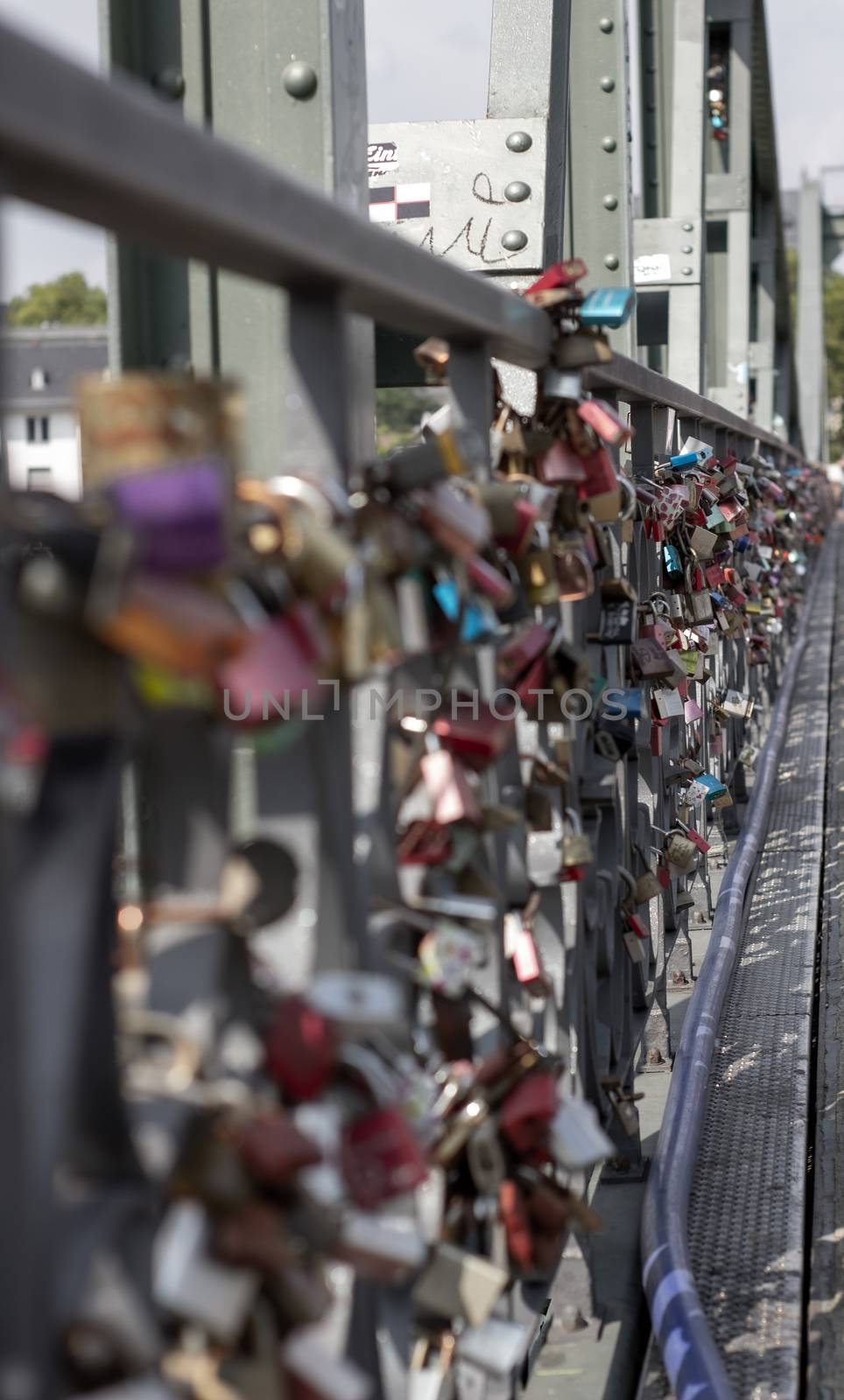 Padlocks on a bridge in Frankfurt am main, Germany. by AnatoliiFoto