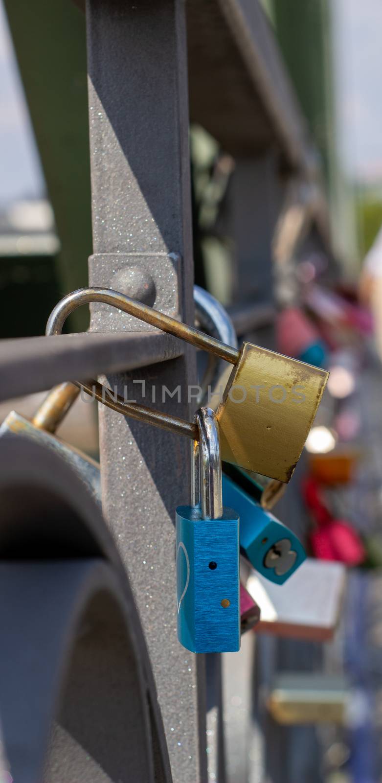 Padlocks on a bridge in Frankfurt am main, Germany. The ritual of attaching padlocks as a symbol of love to a bridge has been common in Europe since the 2000s.