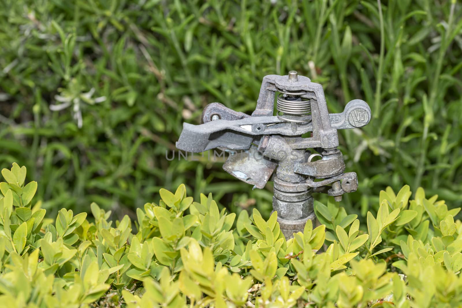 An Irrigation sprinkler at the edge of the garden ready to irrigate the dry grass and the end of the day by ankorlight