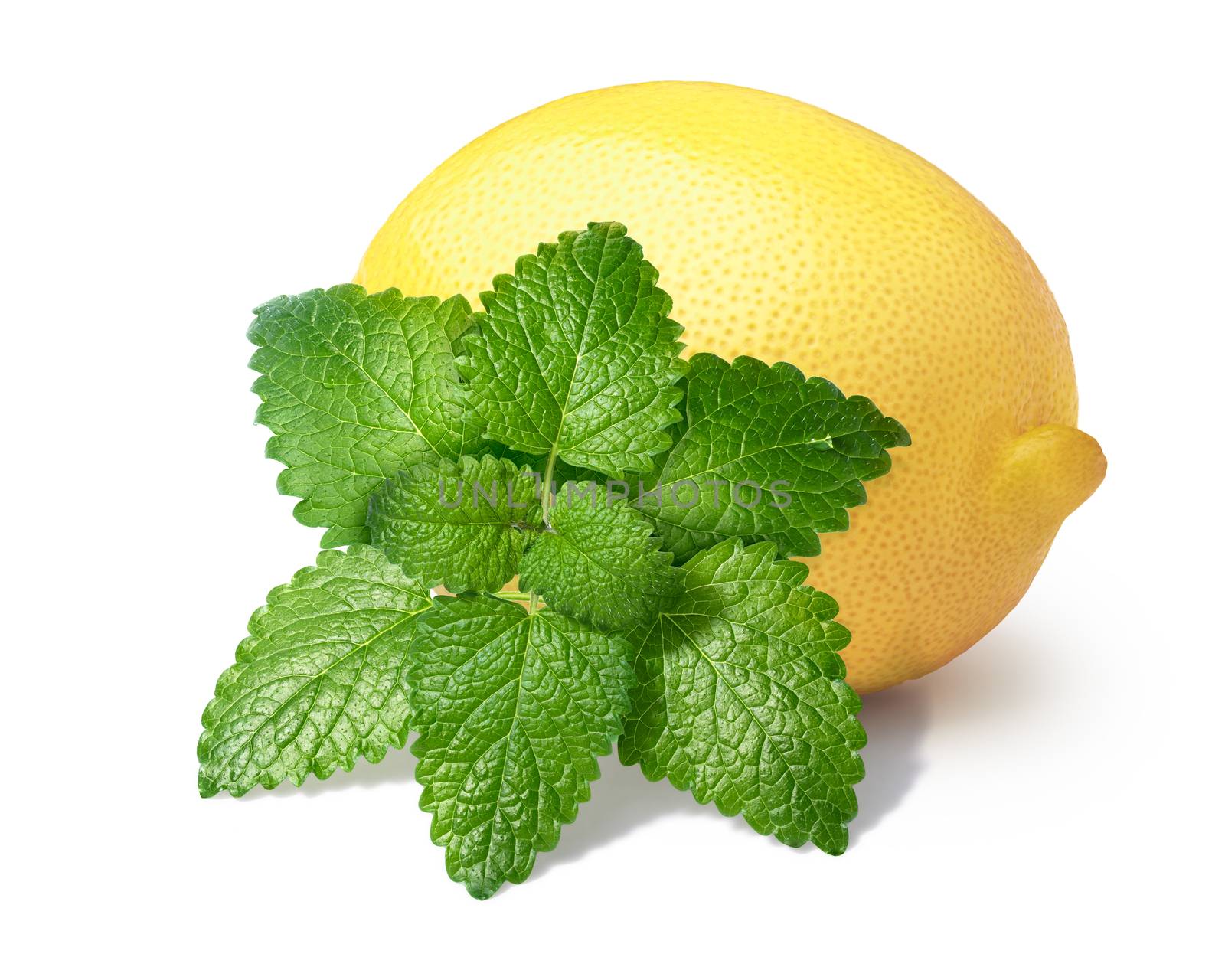 Whole lemon with with  mint balm (Melissa). Clipping paths for composite and for shadows, infinite depth of field