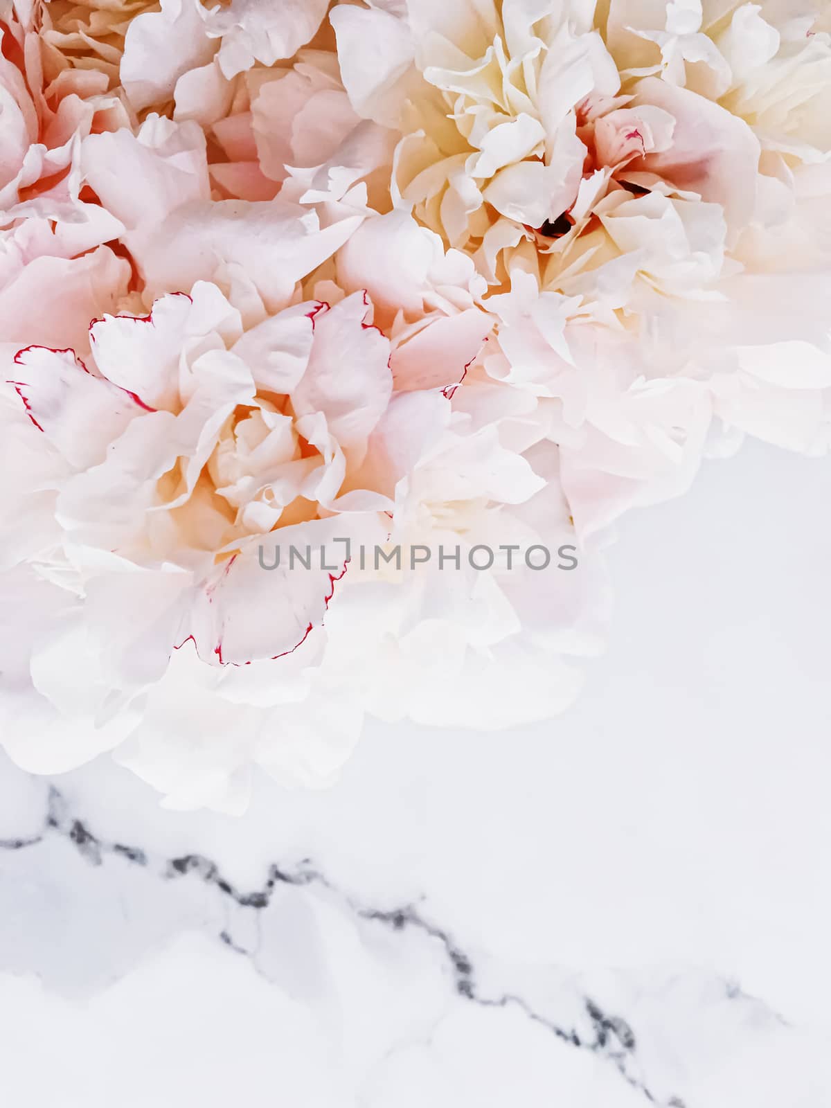 Bouquet of peony flowers on luxury marble background, wedding flatlay and event branding by Anneleven