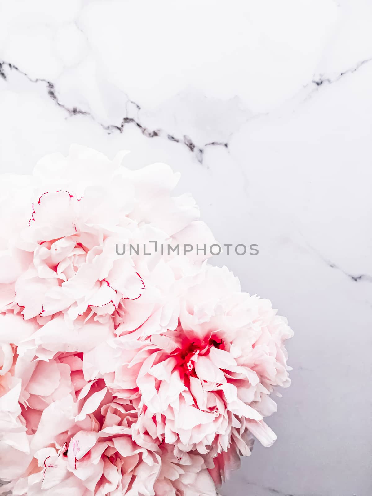 Bouquet of peony flowers on luxury marble background, wedding flatlay and event branding design