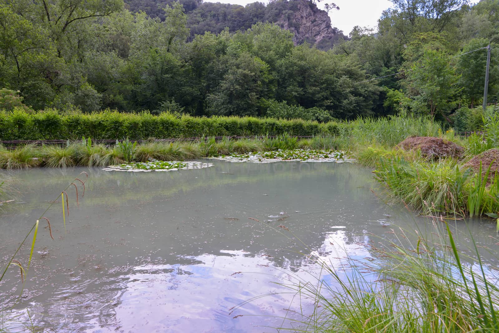 the lake of the marmore waterfall where there are fish and frogs