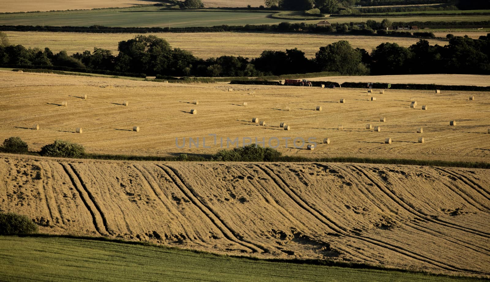 Near Belchford, Lincolnshire, UK, July 2017, View of hay bales south of the Bluestone Heath Road in the Lincolnshire Wolds