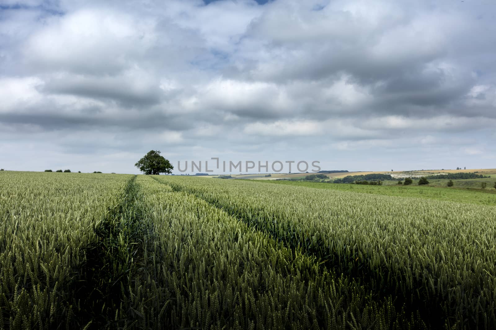 Near Nettleton, Lincolnshire, UK, July 2017, Landscape view of the Lincolnshire Wolds