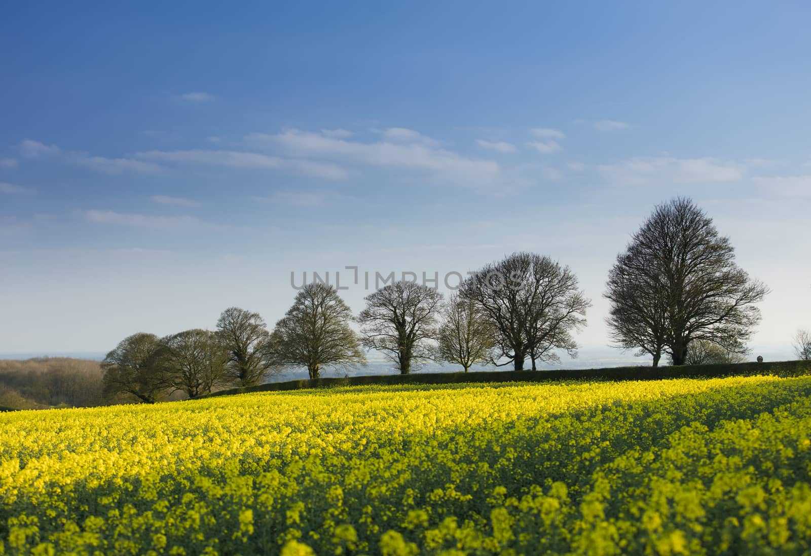 Near Normanby, Lincolnshire, UK, July 2017, View of Lincolnshire Wolds from Viking Way