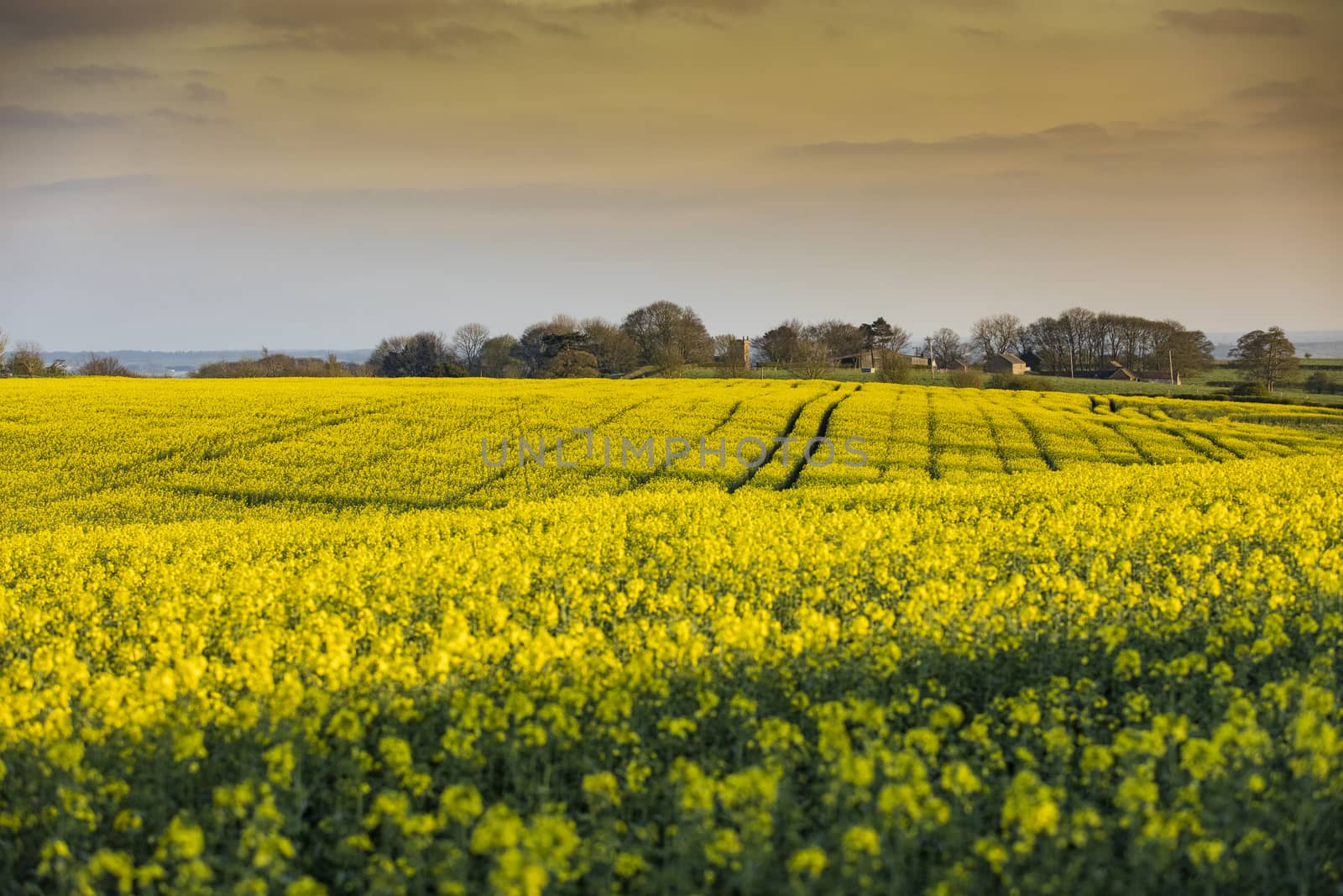 Near Normanby, Lincolnshire, UK, July 2017, View of Lincolnshire Wolds from Viking Way