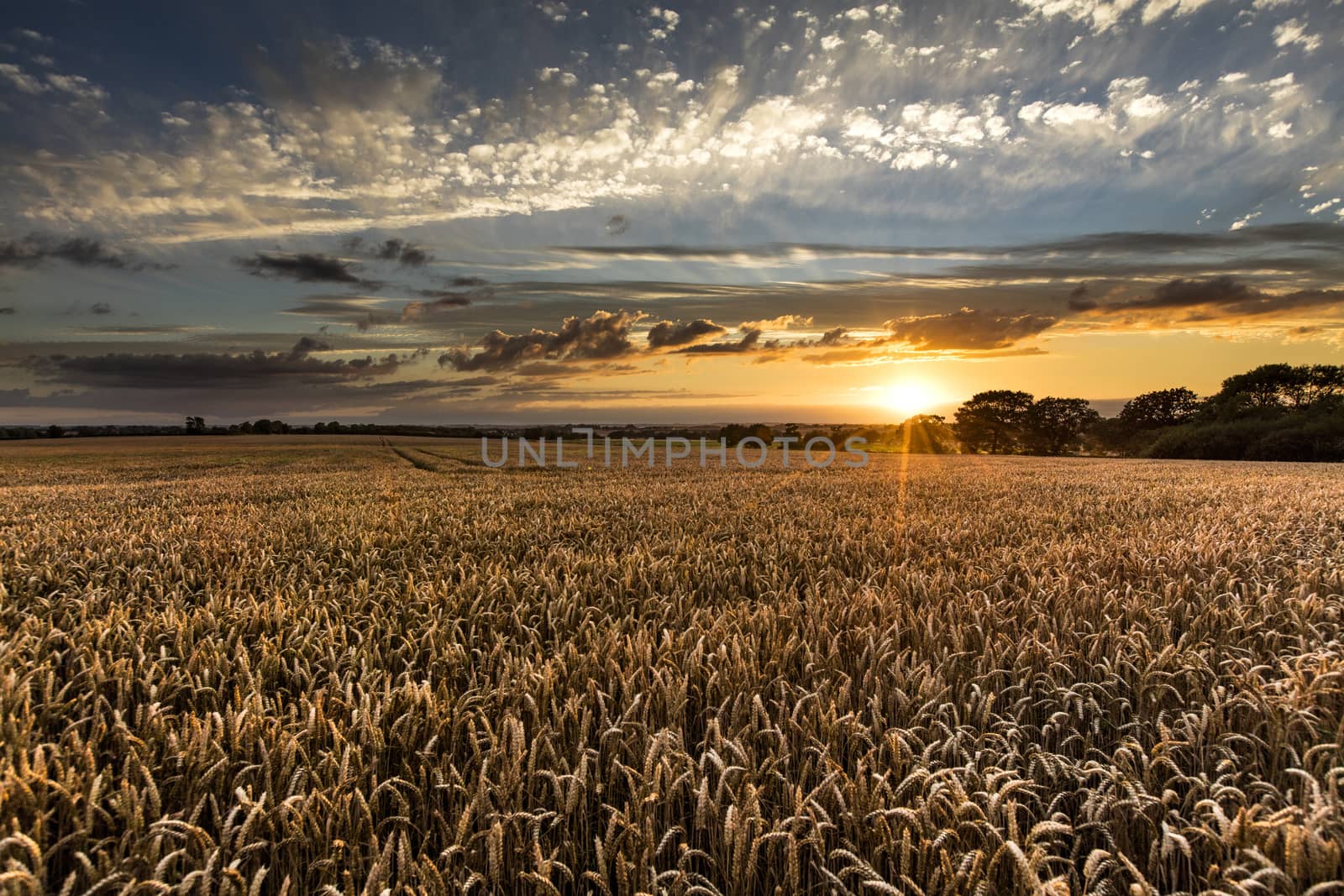 Near Caistor, Lincolnshire, UK, July 2017, View of Lincolnshire  by ElectricEggPhoto