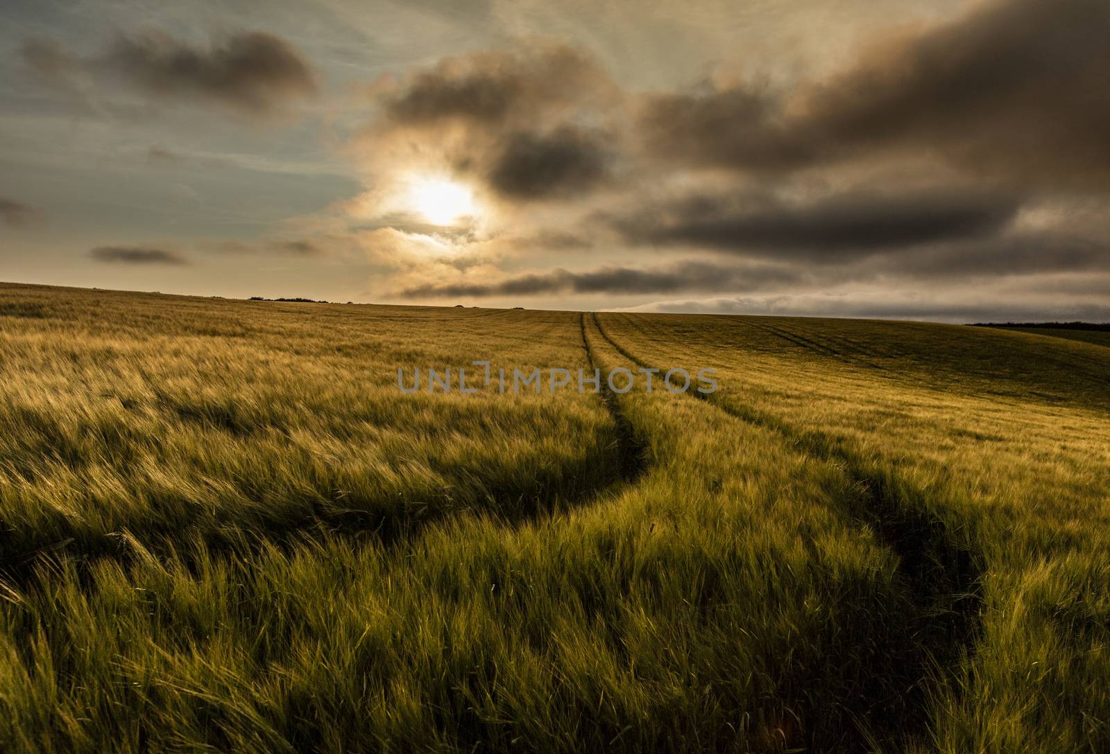 Bluestone Heath Road, Lincolnshire, UK, July 2017, Landscape view of the Lincolnshire Wolds