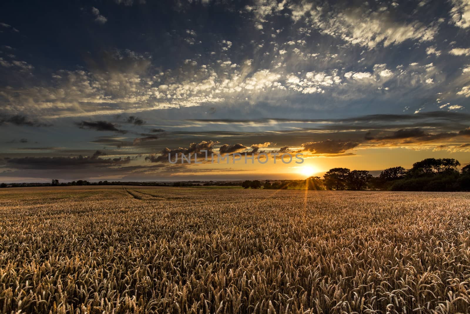 Near Caistor, Lincolnshire, UK, July 2017, View of Lincolnshire  by ElectricEggPhoto