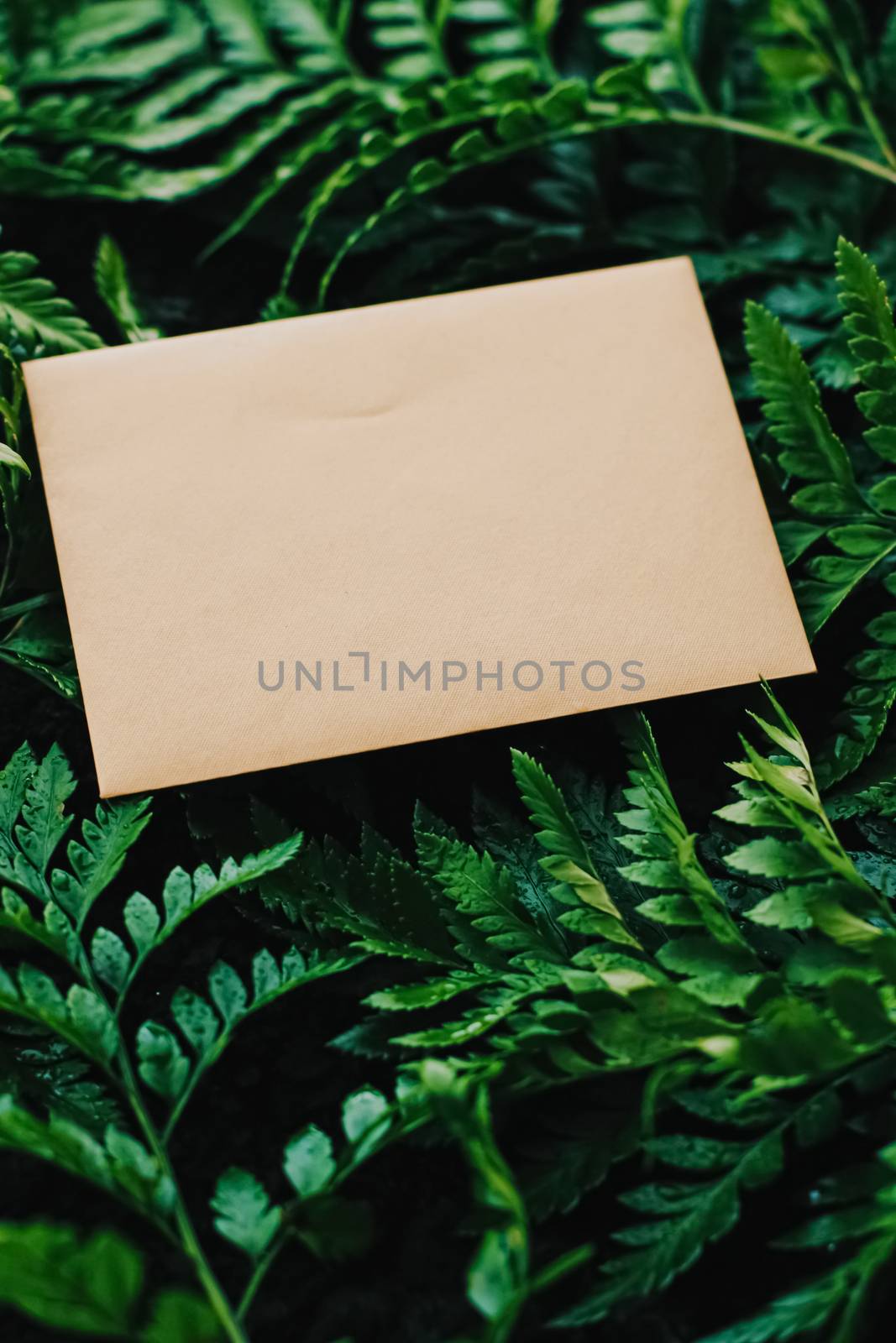 Blank envelope and green leaves in nature, paper card as background, correspondence and newsletter concept