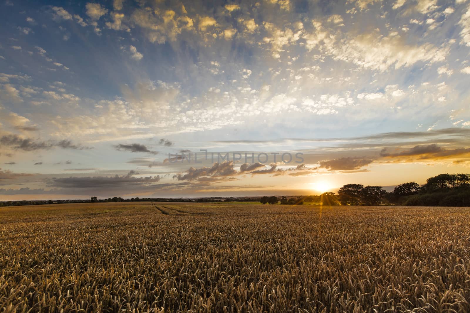 Near Caistor, Lincolnshire, UK, July 2017, View of Lincolnshire  by ElectricEggPhoto