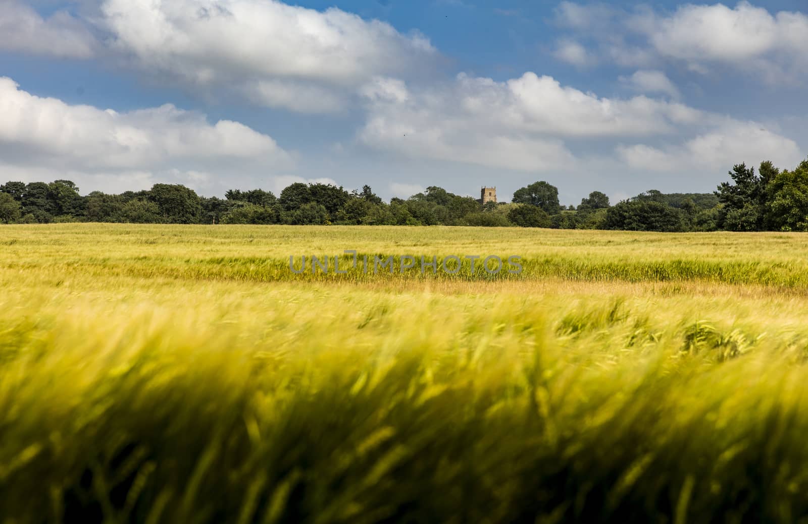 Walesby, Lincolnshire, UK, July 2017, View of Walesby Church in  by ElectricEggPhoto