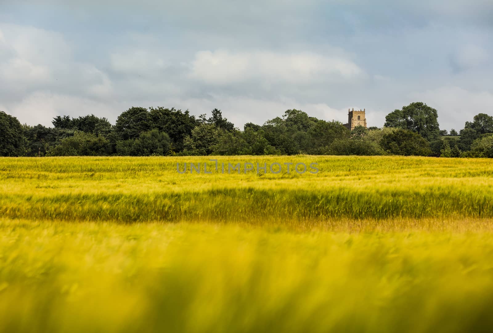 Walesby, Lincolnshire, UK, July 2017, View of Walesby Church in  by ElectricEggPhoto