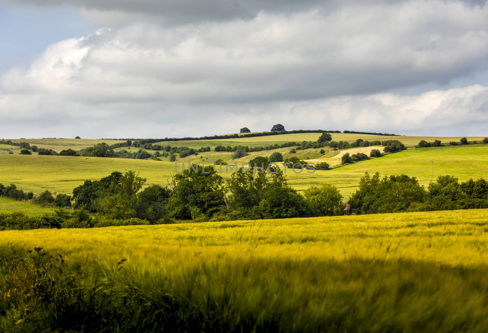 Walesby, Lincolnshire, UK, July 2017, View of landscape near Wal by ElectricEggPhoto