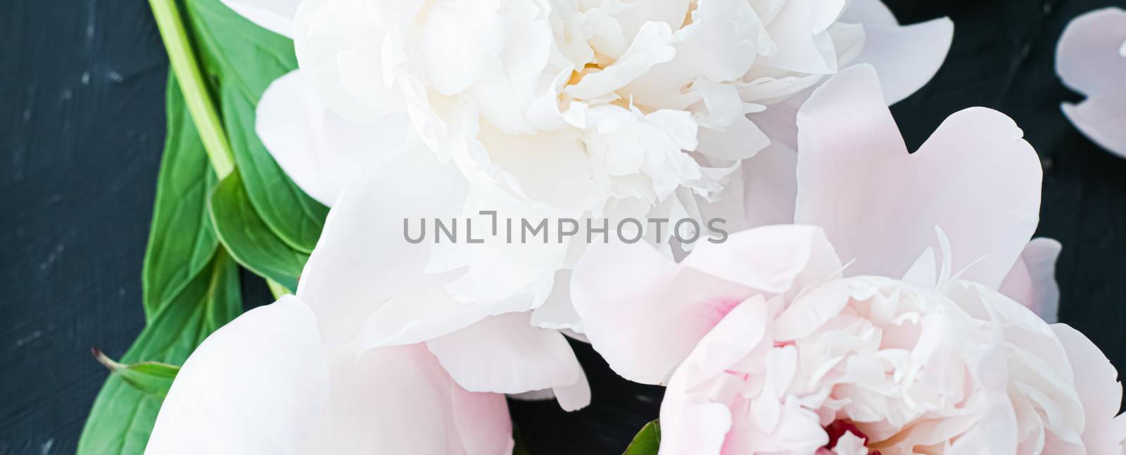 Blooming peony flowers as floral art background, botanical flatlay and luxury branding by Anneleven