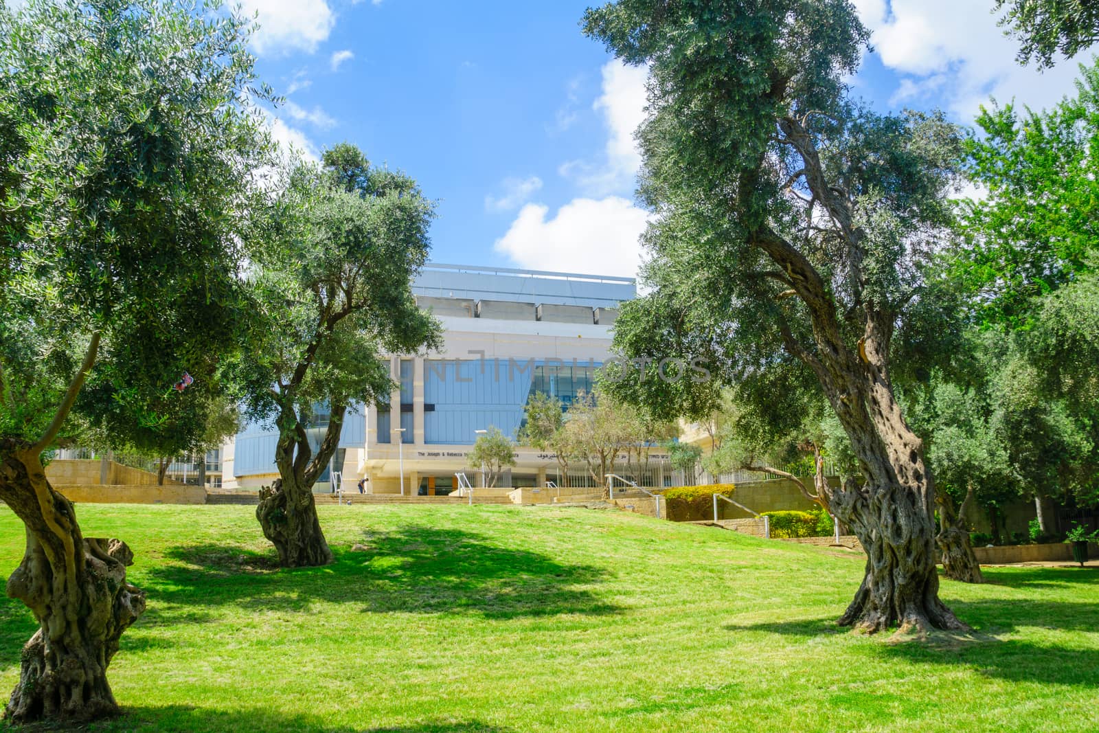 Binyamin Garden in Haifa by RnDmS