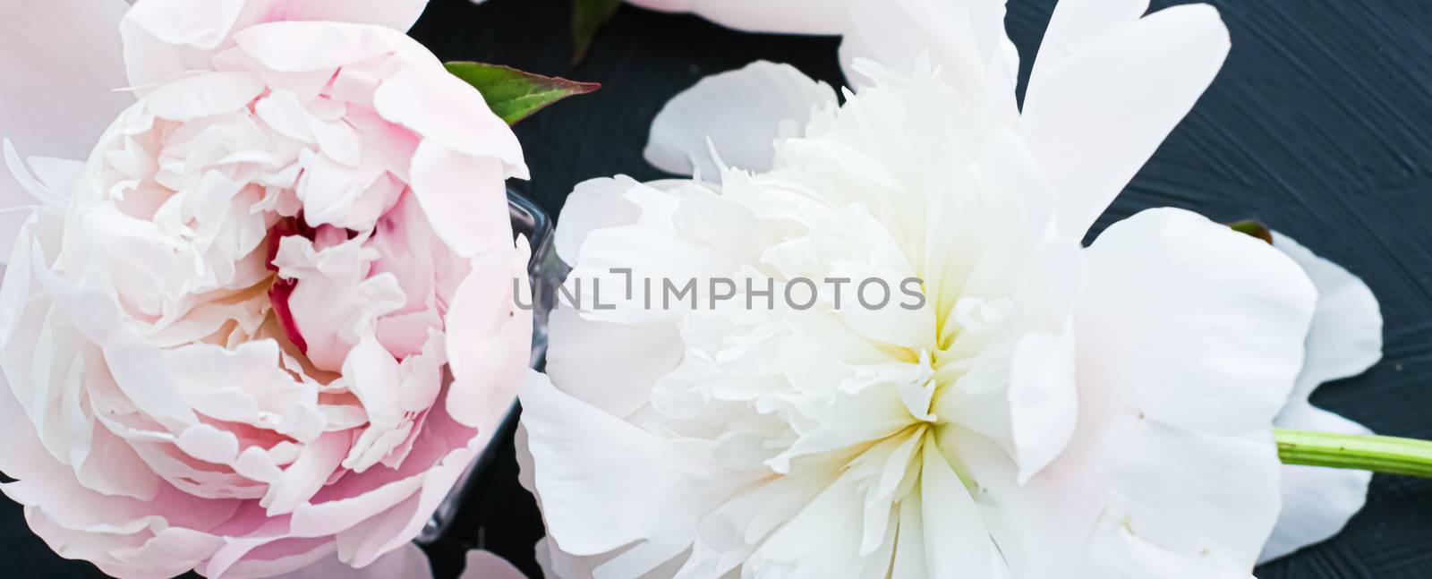 Blooming peony flowers as floral art background, botanical flatlay and luxury branding by Anneleven