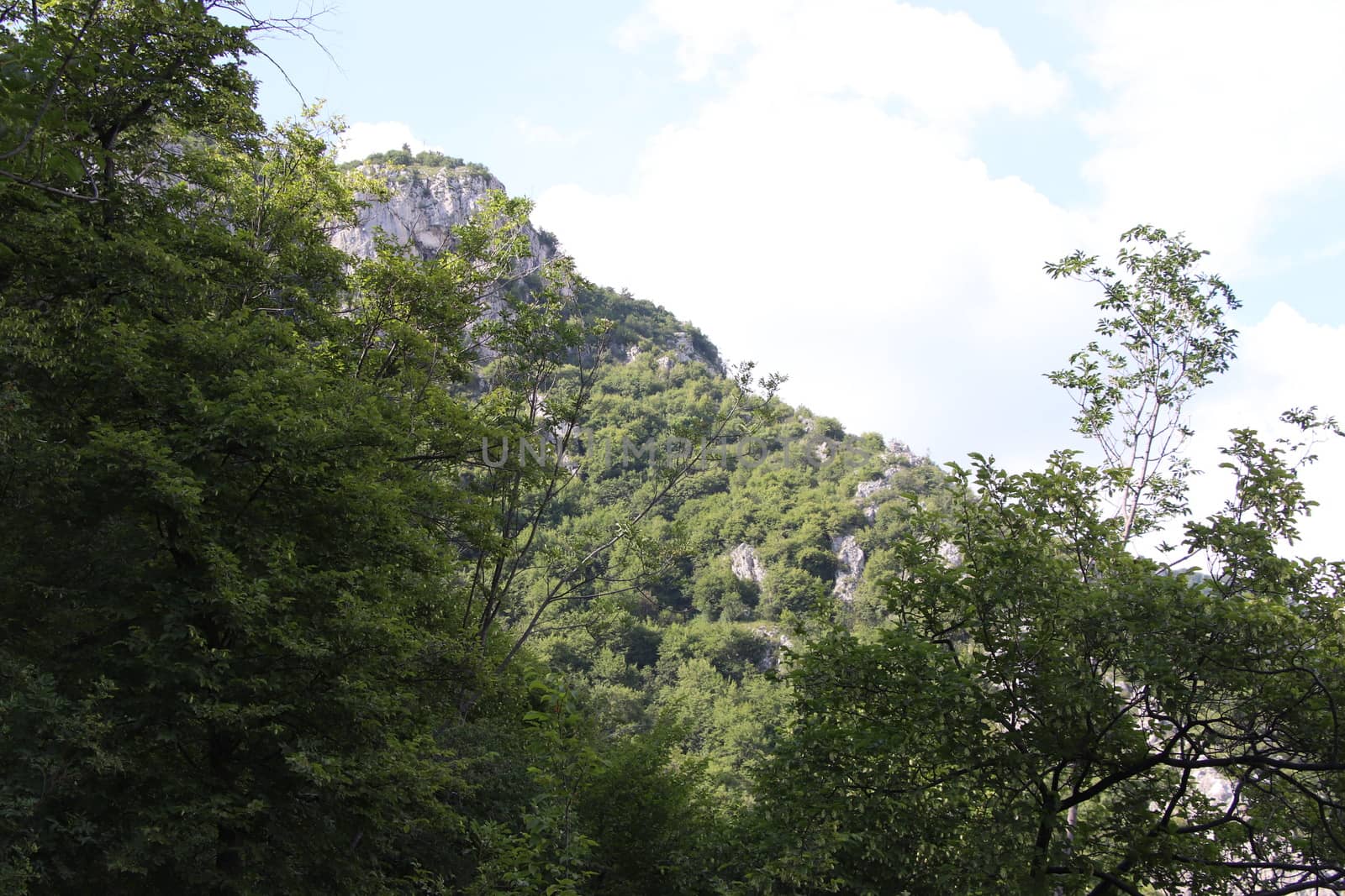 view of green mountains and blue clear sky