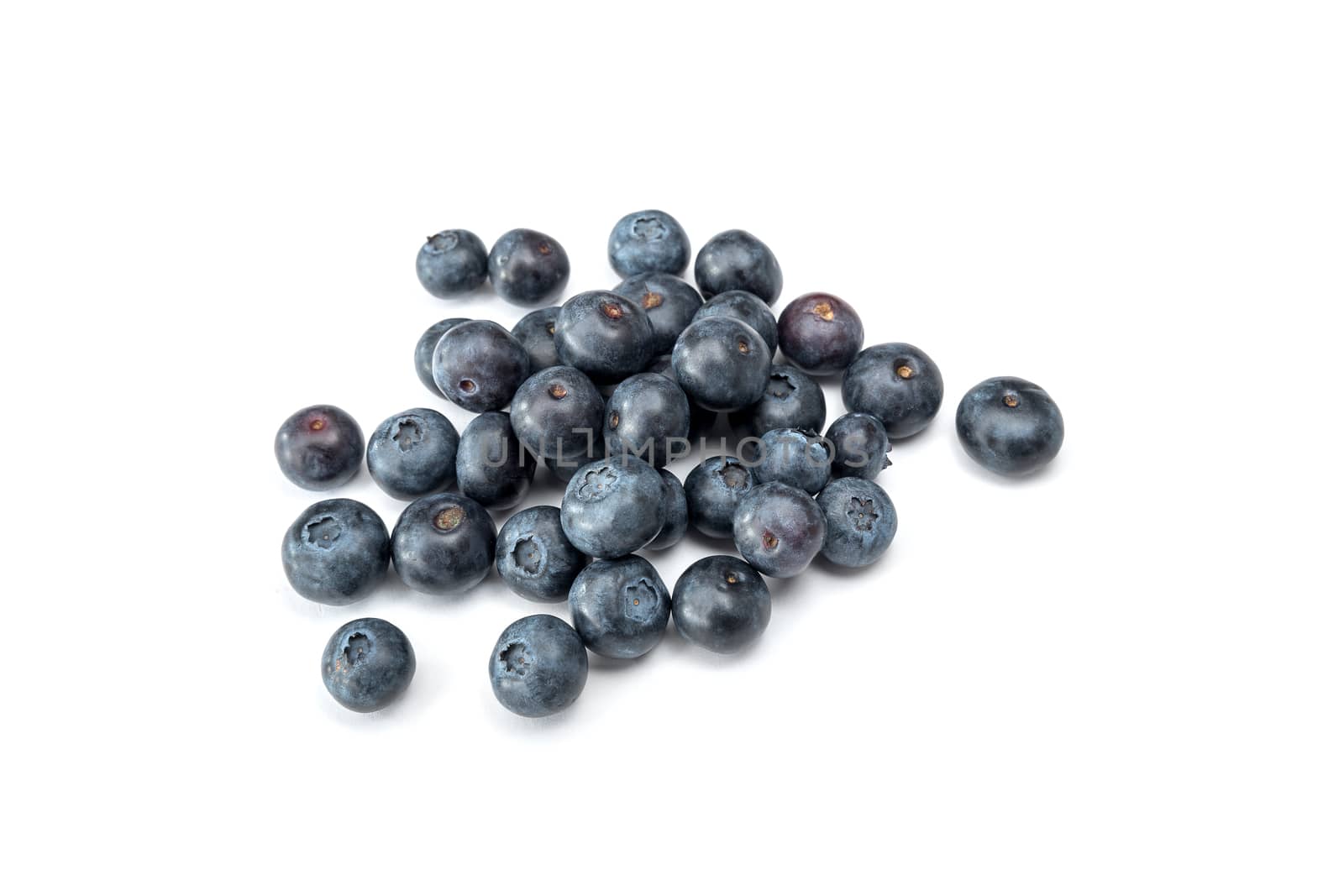 Fresh blueberries isolated on white background. Copy space.